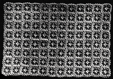 Baby's Crocheted Crib Cover Pattern #6018