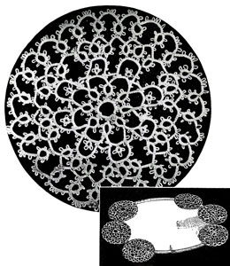 Circular Motif Pattern
