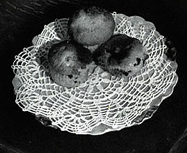 Round Doily Pattern