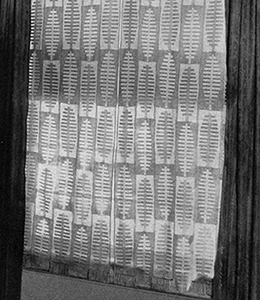 Curtains Pattern #979