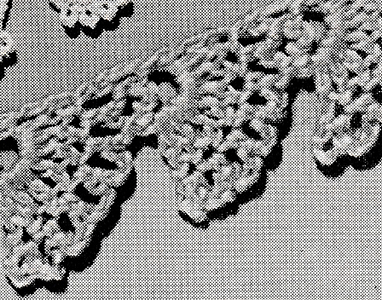 Edging Pattern #8338