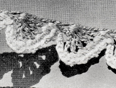 Two-Color Edging Pattern #8341