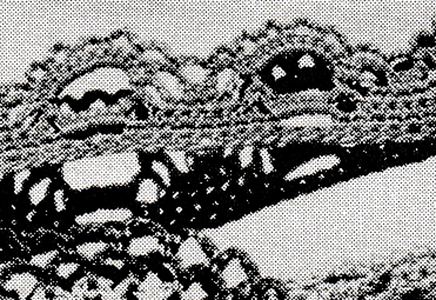 Edging Pattern #8399