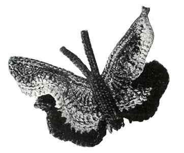 Butterfly Hair-Do Pattern #1163