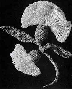 Boutonniere Pattern, No. 435