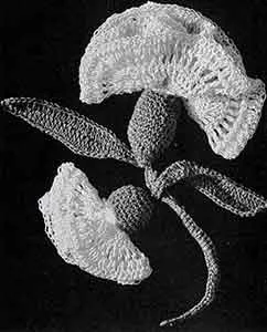 Boutonniere Pattern, No. 435