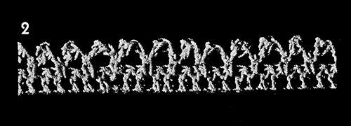 Crocheted Edging Pattern #2