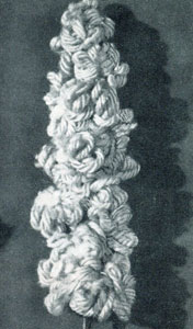 Hyacinth Flower Pattern