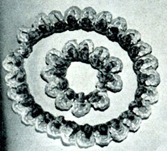 Shell Necklace & Bracelet Pattern #2107