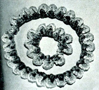 Shell Necklace & Bracelet Pattern #2107