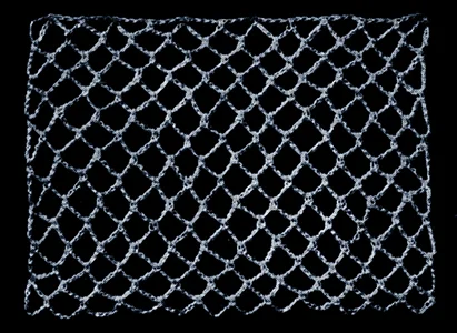 Irish Crochet Background #1