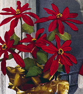 Poinsettia Pattern