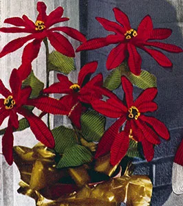 Poinsettia Pattern