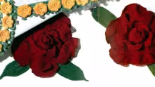 Camellia Motif Pattern