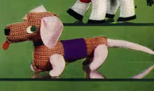 Dachshund Toy Pattern