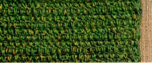 Place Mat Pattern