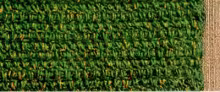 Place Mat Pattern