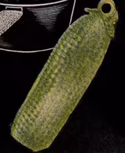 Cool Cucumber Pan Handler Pattern #7112