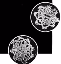 Ear Clips Pattern
