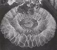 Waterfall Doily Pattern #D-134