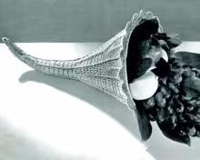 Horn of Plenty Pattern