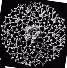 Motif Pattern #2216