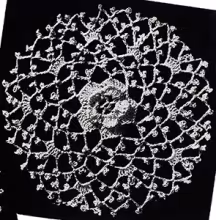 Motif Pattern #2216