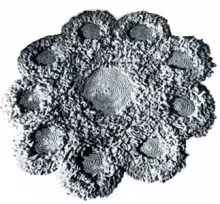 Lazy Daisy Loops Circular Rug Pattern #5106