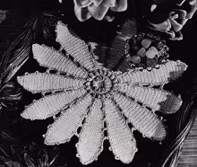 Pond Lily Doily Pattern #6407
